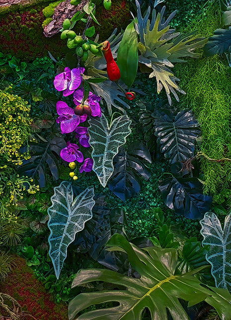 Leaves Nature Wallpaper