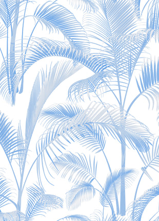 Blue Palms Tropical